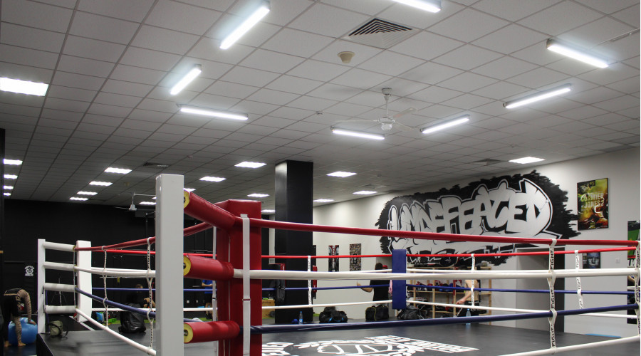 Клуб Adrenaline Stadium